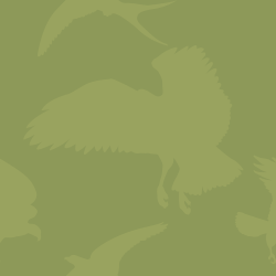 green birds of prey repeating pattern background tile