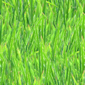 grass texture wallpaper background tile