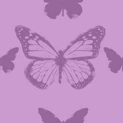 butterflies pattern background