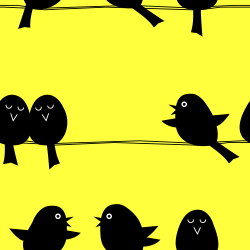 black yellow birds wallpaper pattern background tile